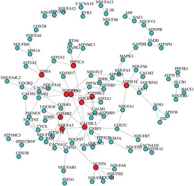 A Machine Learning Method for Identifying Critical Interactions Between Gene Pairs in Alzheimer's Disease Prediction